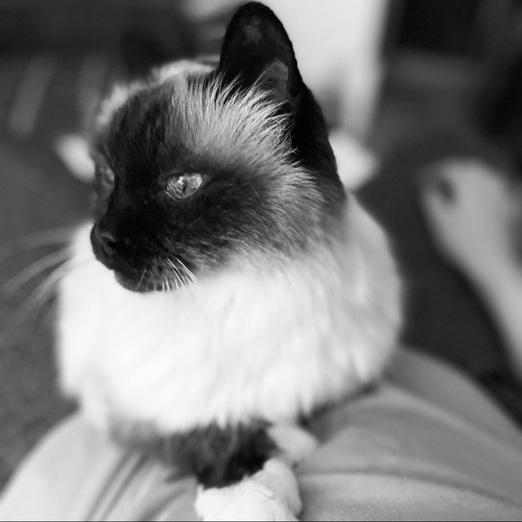 Meet your Posher, Mary - Picture 1 of 1